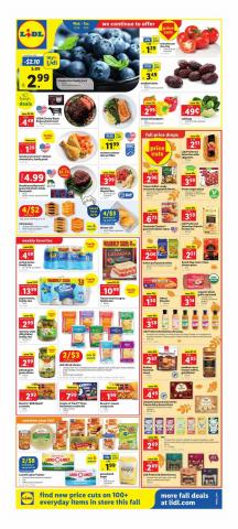 Grocery & Drug offers in Decatur GA | Weekly Ad in Lidl | 9/28/2022 - 10/4/2022