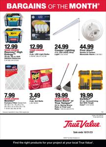 Tools & Hardware offers in Bayonne NJ | True Value October Bargains of the Month in True Value | 10/1/2023 - 10/31/2023