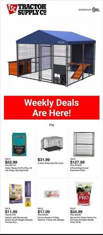 Tractor Supply Company catalogue in Jacksonville FL | Tractor Supply Company Weekly ad | 9/18/2023 - 9/24/2023