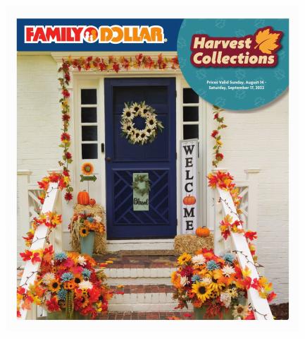 Discount Stores offers | Digital Book in Family Dollar | 8/14/2022 - 9/17/2022