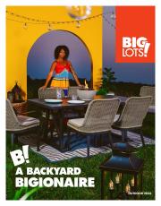 Offer on page 17 of the Catalog catalog of Big Lots