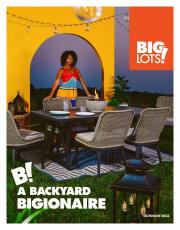 Discount Stores offers in Oakland CA | Catalog in Big Lots | 1/7/2023 - 7/7/2023