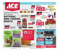 Offer on page 3 of the Red Hot Buys catalog of Ace Hardware