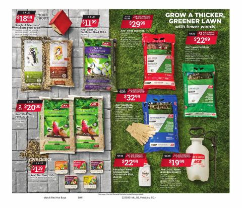 Ace Hardware catalogue in Houston TX | Red Hot Buys | 3/1/2023 - 3/31/2023
