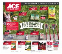 Offer on page 6 of the Red Hot Buys catalog of Ace Hardware