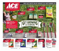 Offer on page 1 of the Red Hot Buys catalog of Ace Hardware