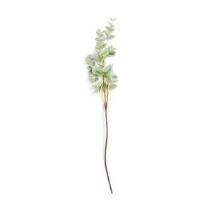Green Faux Single Stem Eucalyptus Branch offers at $2.5 in Primark