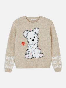 Light Up Christmas Sweater offers at $15 in Primark