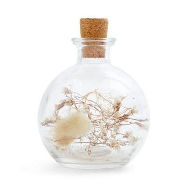 Small Dried Flower Ornamental Bottle deals at $5