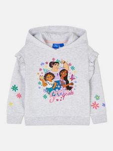 Disney Encanto Frill Pullover Hoodie offers at $14 in Primark