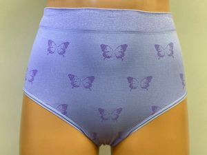 Steinmart Butterfly Brief Two Pack Lilac Panty offers at $22.72 in Stein Mart