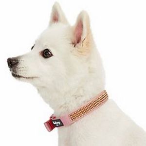 Blueberry Pet Sparkling Rhinestone Dog Collar offers at $37.99 in Kohl's