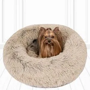 Madison Park Coco Faux Fur Self Warming Indoor Round Pet Donut Cuddler offers at $66.49 in Kohl's