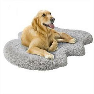 Friends Forever Faux Fur Orthopedic Dog Bed offers at $20.99 in Kohl's