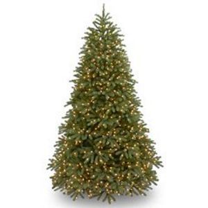 7.5-ft. Pre-Lit Dual LED ''Feel Real'' Jersey Frasier Fir Artificial Christmas Tree offers at $1411.99 in Kohl's