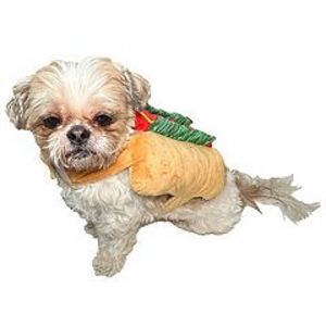 Woof Hot Dog Pet Costume offers at $12.49 in Kohl's