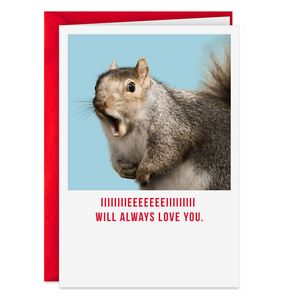 I Will Always Love You Squirrel Funny Valentine… offers at $3.69 in Hallmark