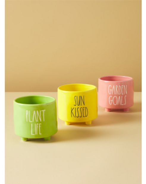3pk Plant Life Planters offers at $18 in Home Goods