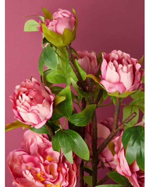 27in Artificial Peony Arrangement In Ceramic Pot offers at $15 in Home Goods