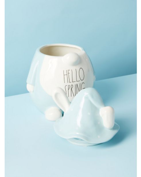 11in Hello Spring Bunny Gnome Canister offers at $10 in Home Goods