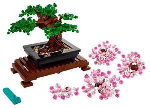 Bonsai Tree offers at $49.99 in 
