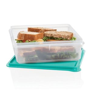 Snack-Stor® Container offers at $19 in Tupperware