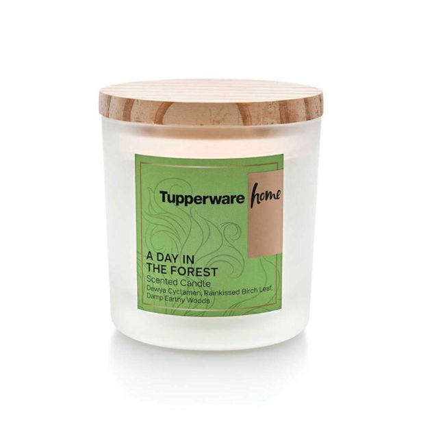 A Day In The Forest Candle offers at $9 in Tupperware