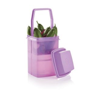 Pick-A-Deli® Container (Purple Daisy) offers at $24 in Tupperware