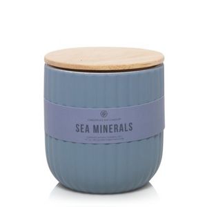 Sea Minerals     Sea Minerals offers at $5 in Yankee Candle